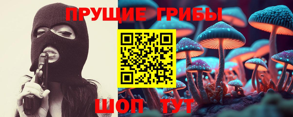 Псилоцибиновые грибы ЛСД  Вход с VPN  Грязи  Галлюциногенные грибы Psilocybe 
